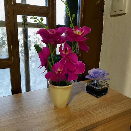 Lovely, Neat And Quite Apartment Dalia, Private Parking SJJ Exterior foto