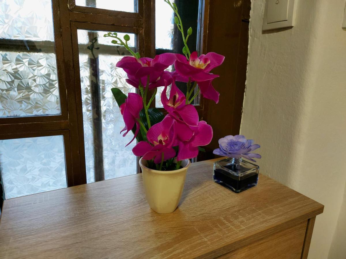 Lovely, Neat And Quite Apartment Dalia, Private Parking SJJ Exterior foto